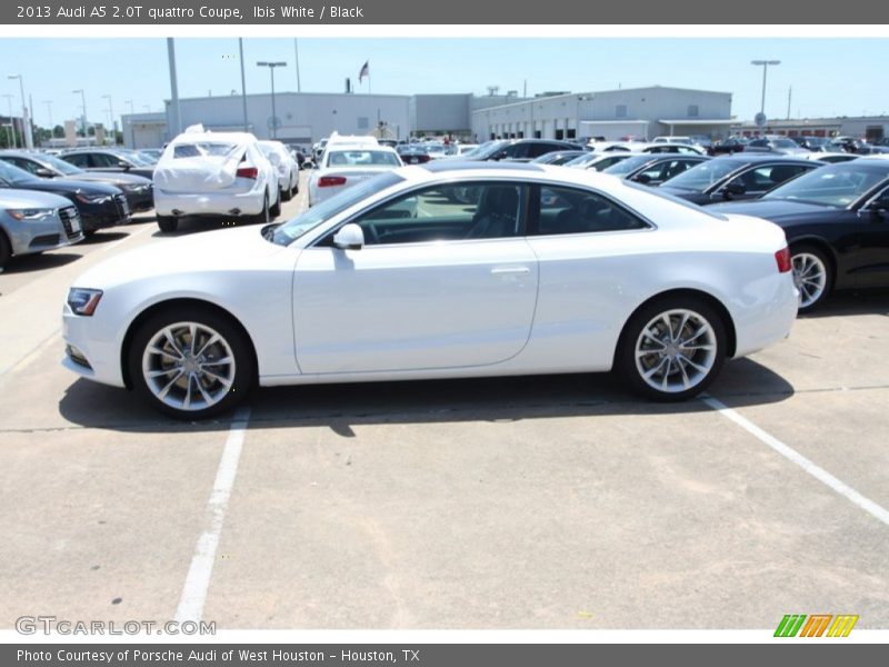 Ibis White / Black 2013 Audi A5 2.0T quattro Coupe