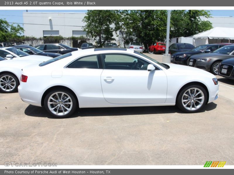 Ibis White / Black 2013 Audi A5 2.0T quattro Coupe