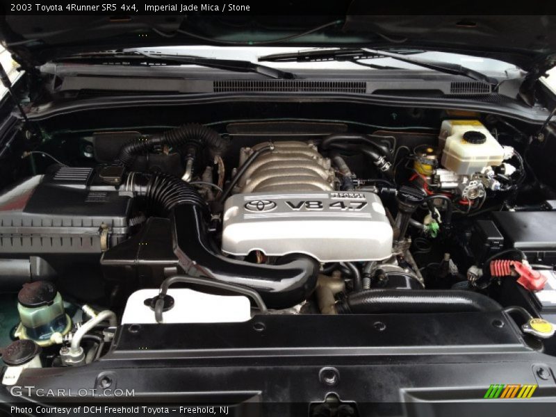 Imperial Jade Mica / Stone 2003 Toyota 4Runner SR5 4x4