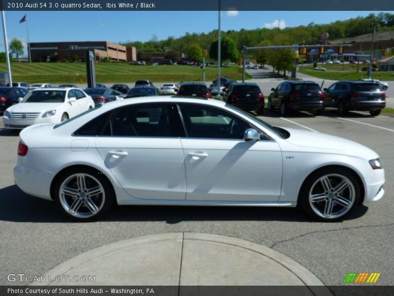 Ibis White / Black 2010 Audi S4 3.0 quattro Sedan