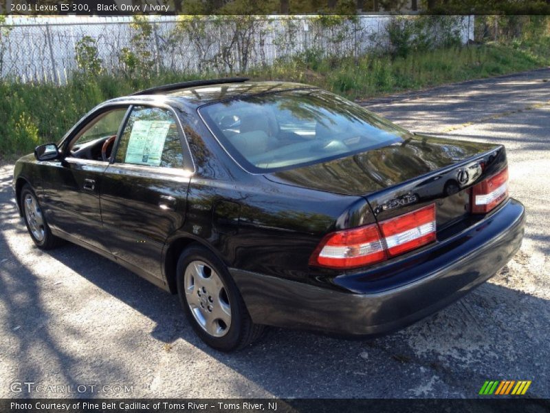 Black Onyx / Ivory 2001 Lexus ES 300