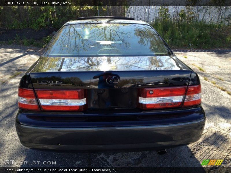 Black Onyx / Ivory 2001 Lexus ES 300