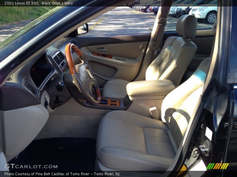 Black Onyx / Ivory 2001 Lexus ES 300