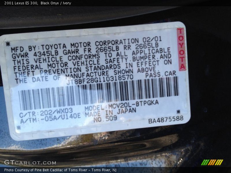 Black Onyx / Ivory 2001 Lexus ES 300