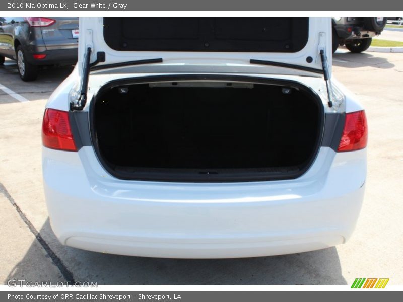 Clear White / Gray 2010 Kia Optima LX