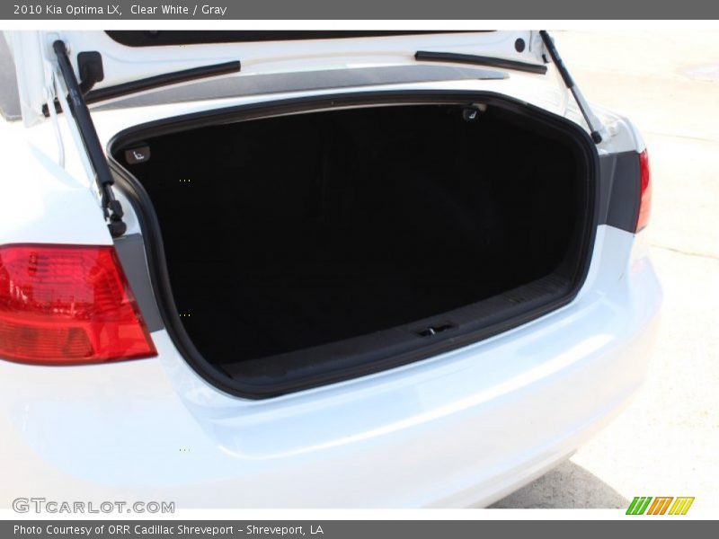 Clear White / Gray 2010 Kia Optima LX