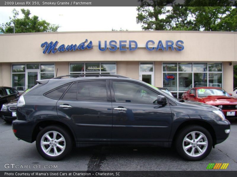 Smokey Granite / Parchment 2009 Lexus RX 350