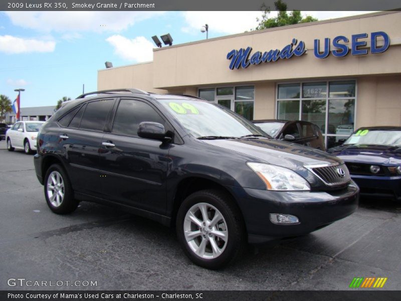 Smokey Granite / Parchment 2009 Lexus RX 350