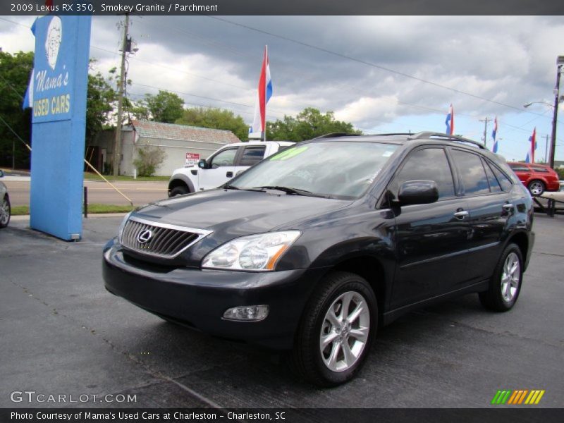 Smokey Granite / Parchment 2009 Lexus RX 350