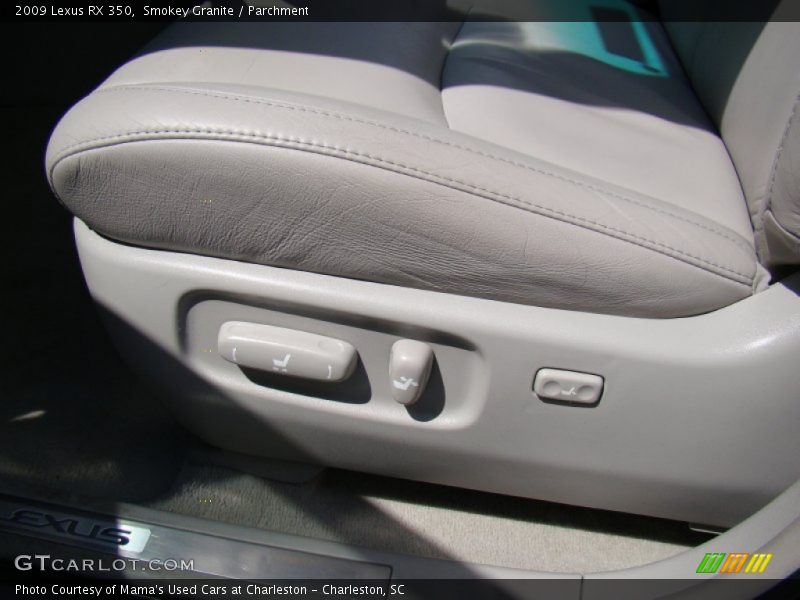 Smokey Granite / Parchment 2009 Lexus RX 350