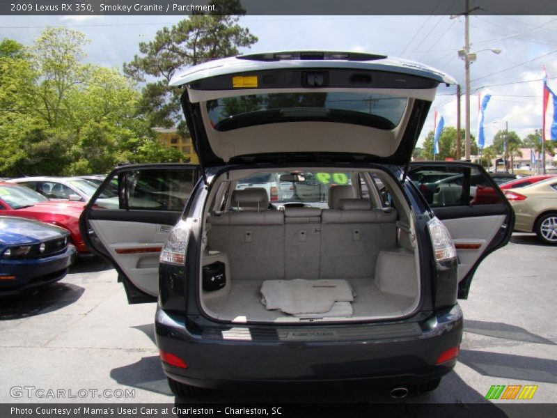 Smokey Granite / Parchment 2009 Lexus RX 350