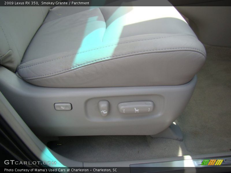 Smokey Granite / Parchment 2009 Lexus RX 350