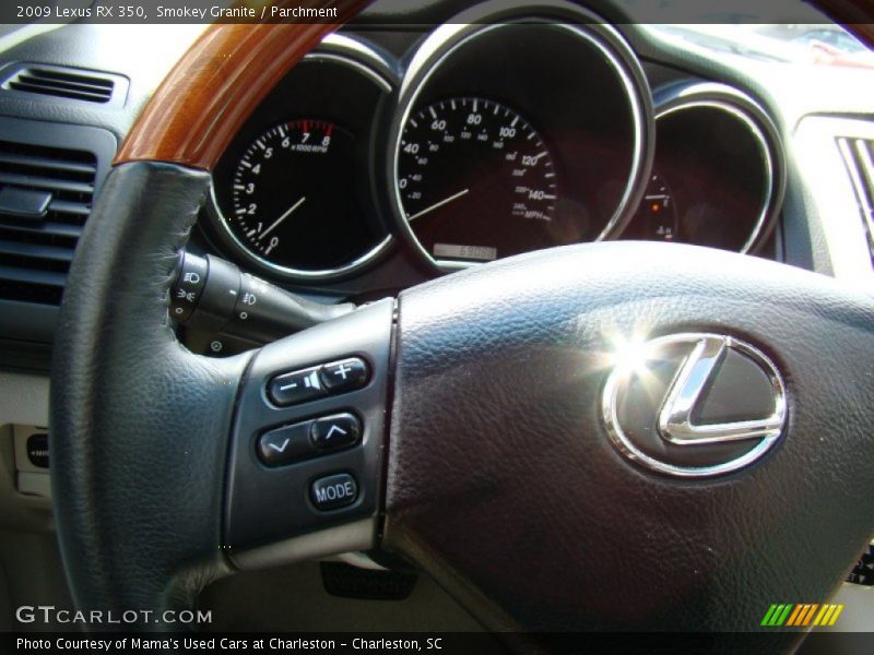 Smokey Granite / Parchment 2009 Lexus RX 350