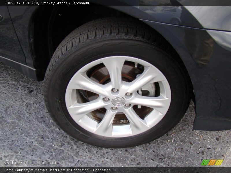 Smokey Granite / Parchment 2009 Lexus RX 350