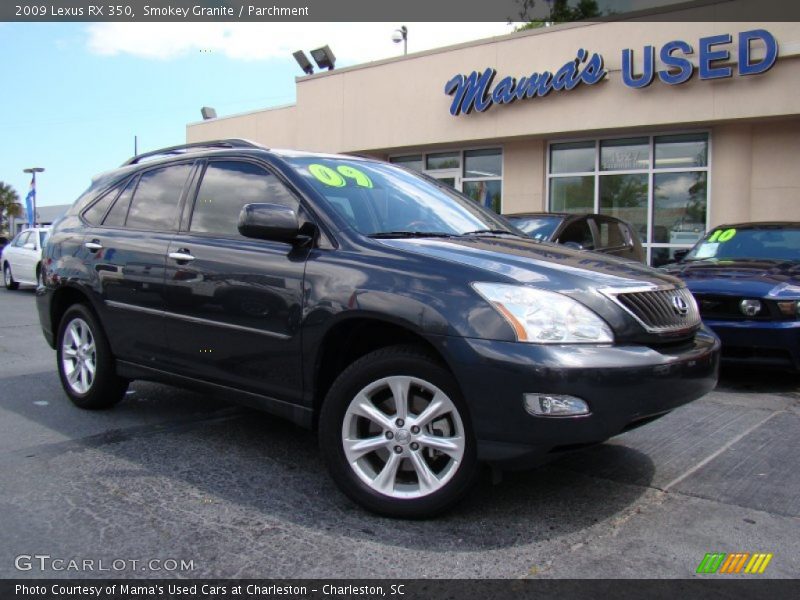 Smokey Granite / Parchment 2009 Lexus RX 350