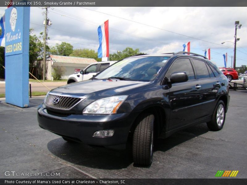 Smokey Granite / Parchment 2009 Lexus RX 350