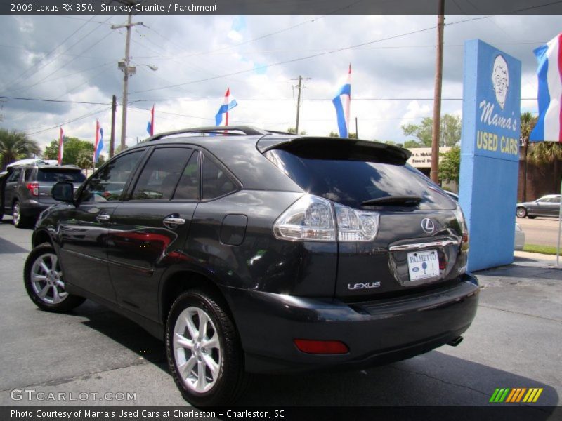 Smokey Granite / Parchment 2009 Lexus RX 350