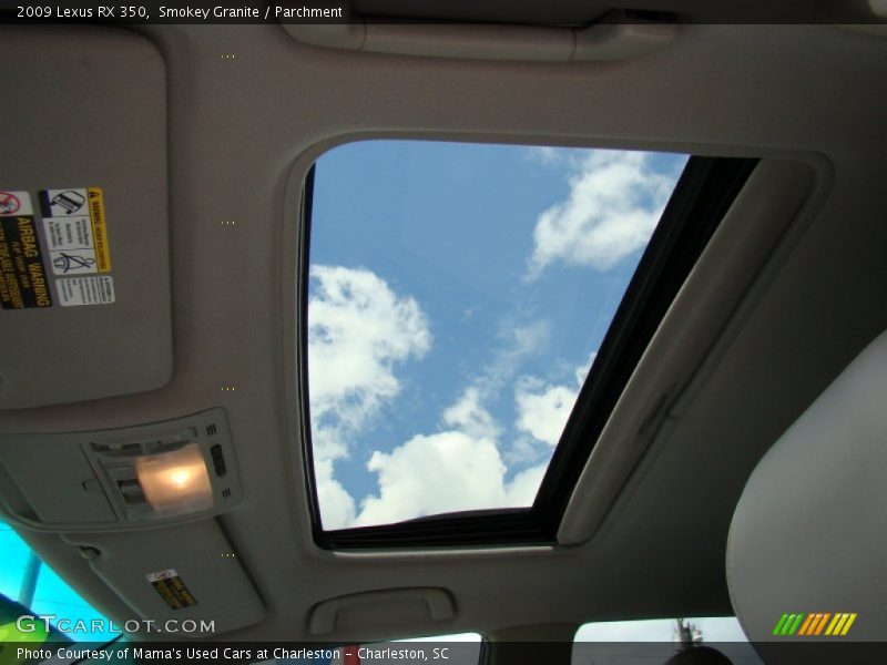 Smokey Granite / Parchment 2009 Lexus RX 350