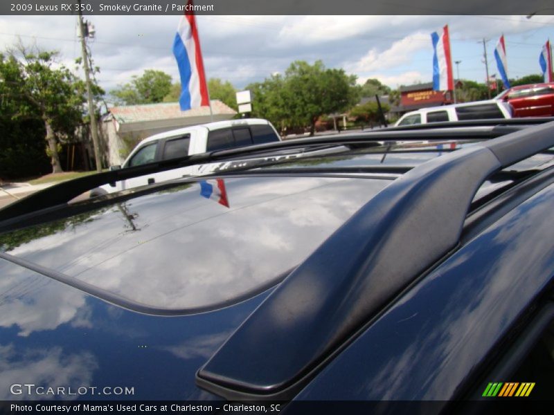 Smokey Granite / Parchment 2009 Lexus RX 350