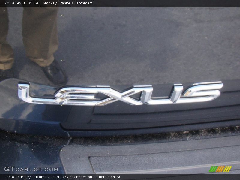 Smokey Granite / Parchment 2009 Lexus RX 350