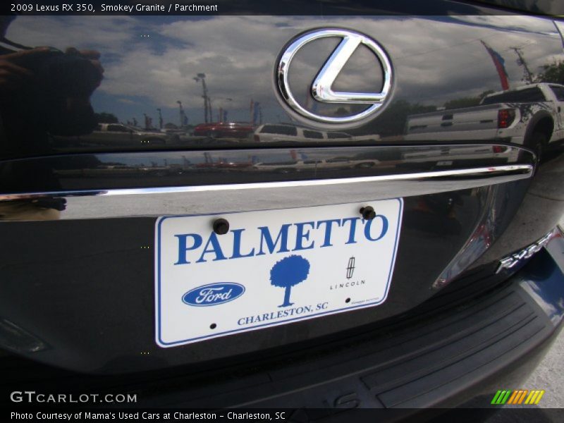 Smokey Granite / Parchment 2009 Lexus RX 350