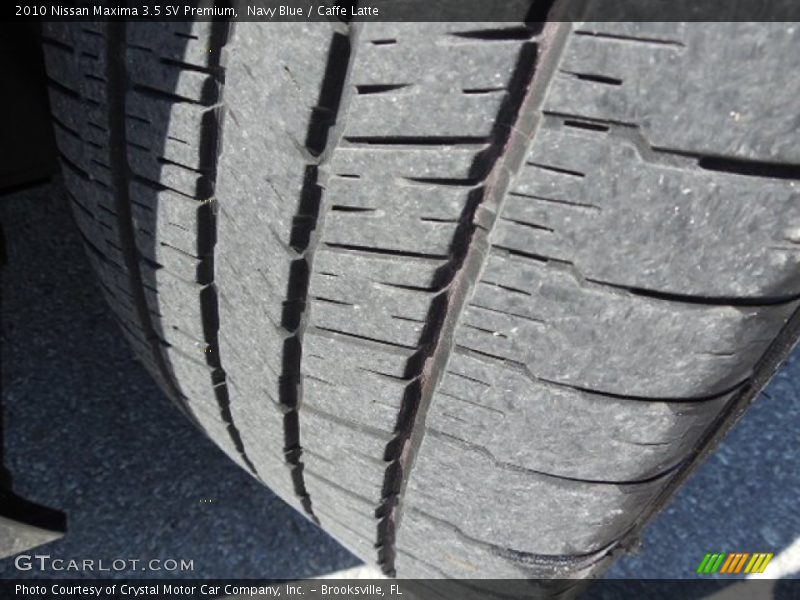 Navy Blue / Caffe Latte 2010 Nissan Maxima 3.5 SV Premium