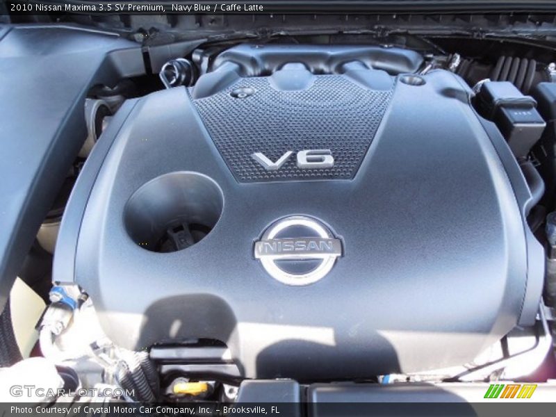 Navy Blue / Caffe Latte 2010 Nissan Maxima 3.5 SV Premium