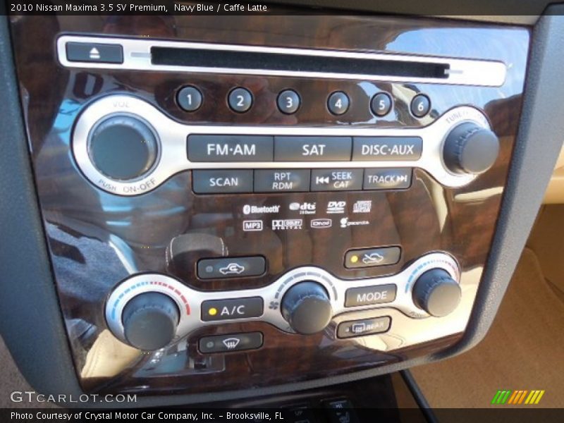 Navy Blue / Caffe Latte 2010 Nissan Maxima 3.5 SV Premium