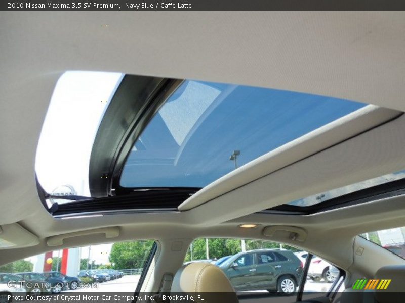 Navy Blue / Caffe Latte 2010 Nissan Maxima 3.5 SV Premium