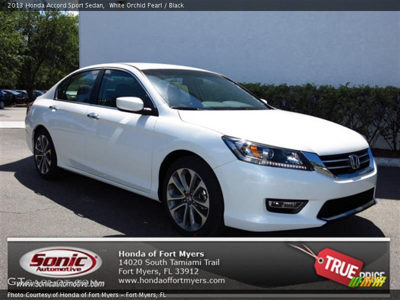 White Orchid Pearl / Black 2013 Honda Accord Sport Sedan