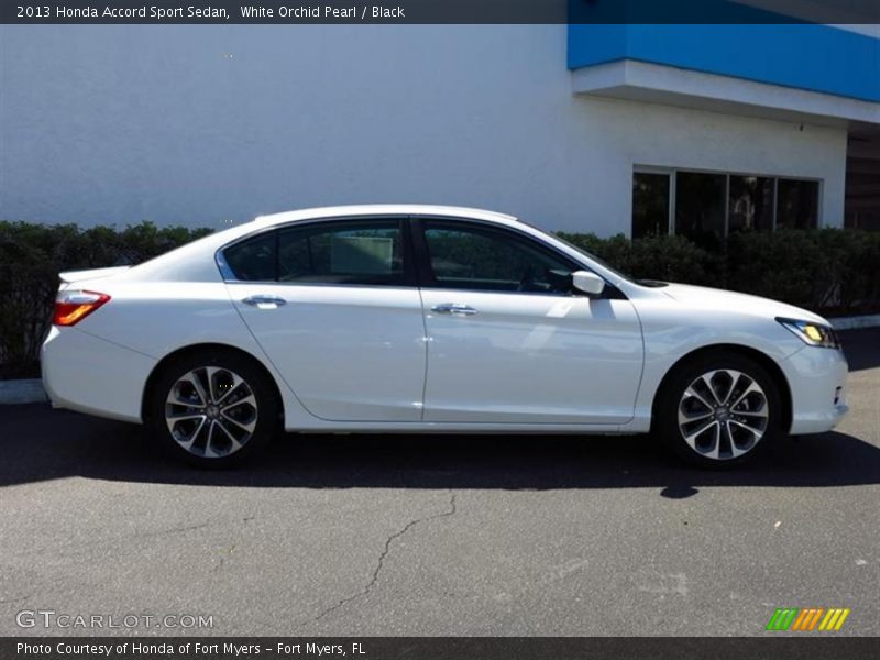 White Orchid Pearl / Black 2013 Honda Accord Sport Sedan