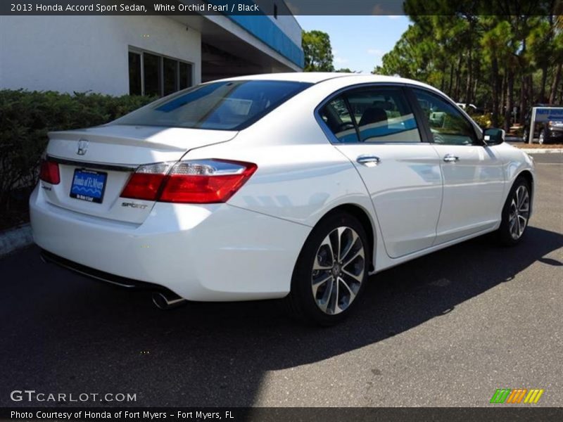 White Orchid Pearl / Black 2013 Honda Accord Sport Sedan