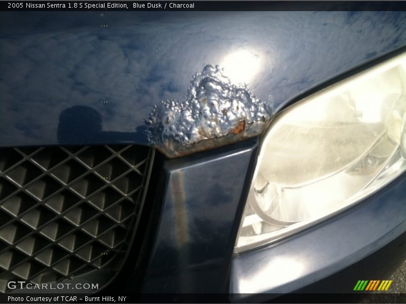 Blue Dusk / Charcoal 2005 Nissan Sentra 1.8 S Special Edition