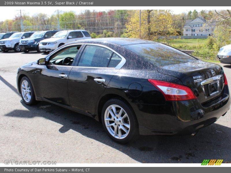 Super Black / Charcoal 2009 Nissan Maxima 3.5 SV