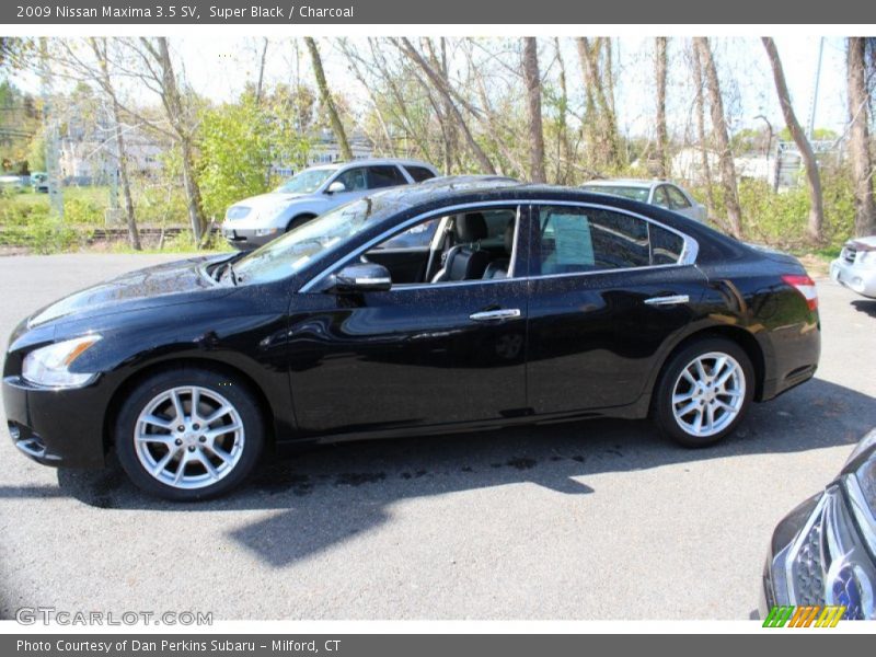 Super Black / Charcoal 2009 Nissan Maxima 3.5 SV