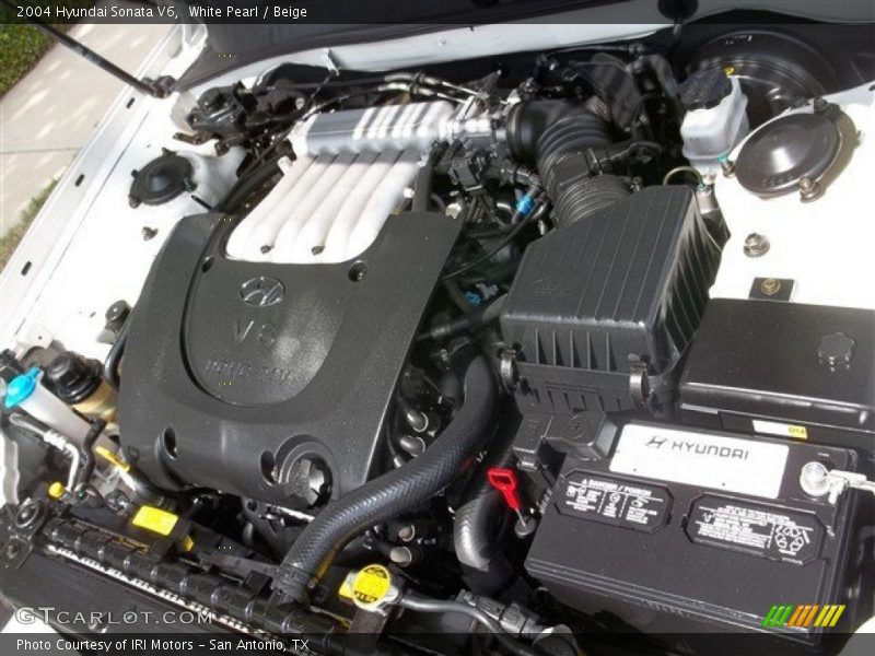 White Pearl / Beige 2004 Hyundai Sonata V6