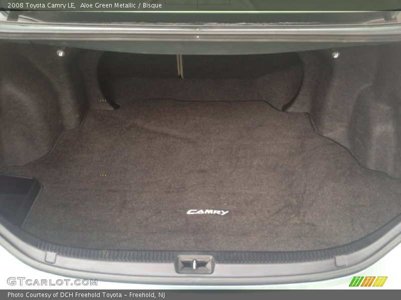 Aloe Green Metallic / Bisque 2008 Toyota Camry LE