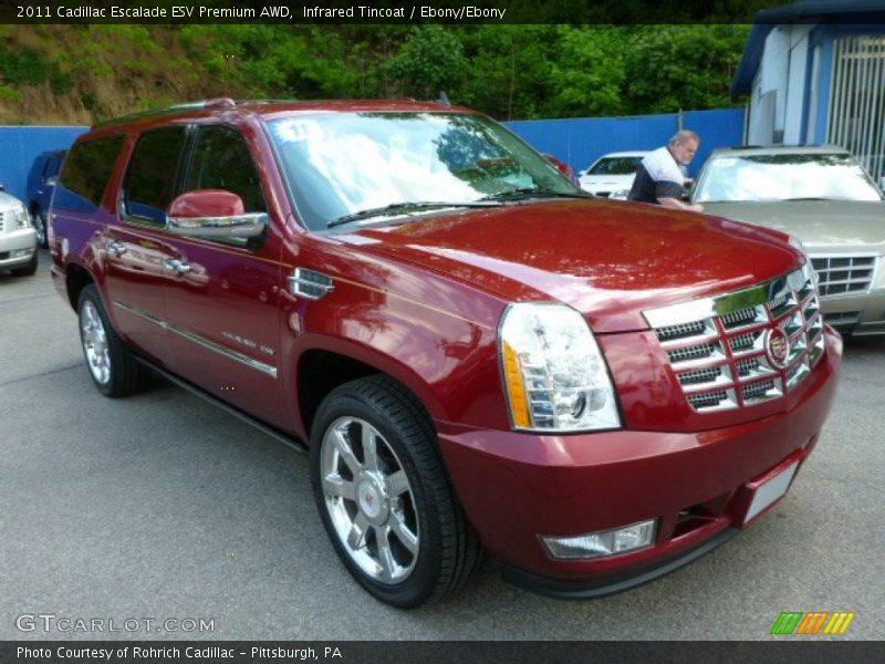 Front 3/4 View of 2011 Escalade ESV Premium AWD