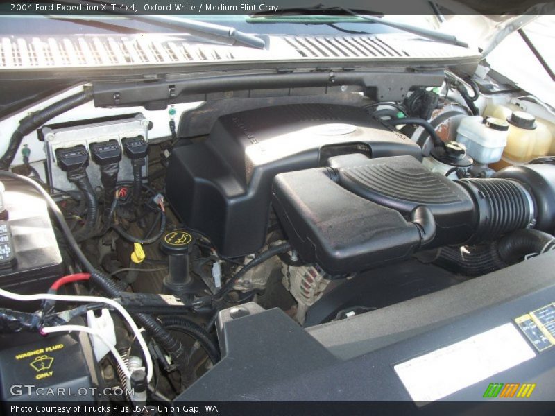 Oxford White / Medium Flint Gray 2004 Ford Expedition XLT 4x4