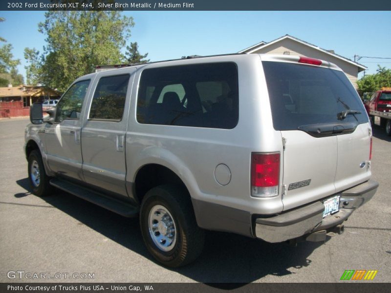 Silver Birch Metallic / Medium Flint 2002 Ford Excursion XLT 4x4