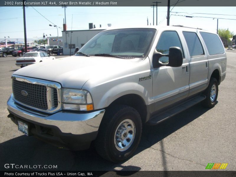 Silver Birch Metallic / Medium Flint 2002 Ford Excursion XLT 4x4