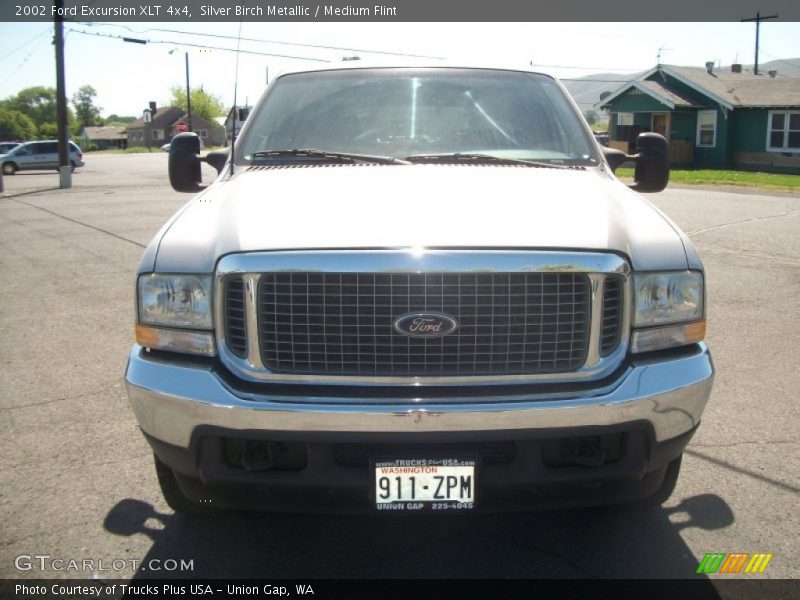 Silver Birch Metallic / Medium Flint 2002 Ford Excursion XLT 4x4