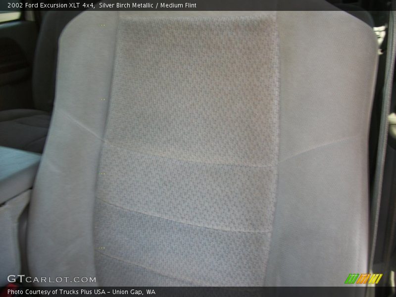 Silver Birch Metallic / Medium Flint 2002 Ford Excursion XLT 4x4