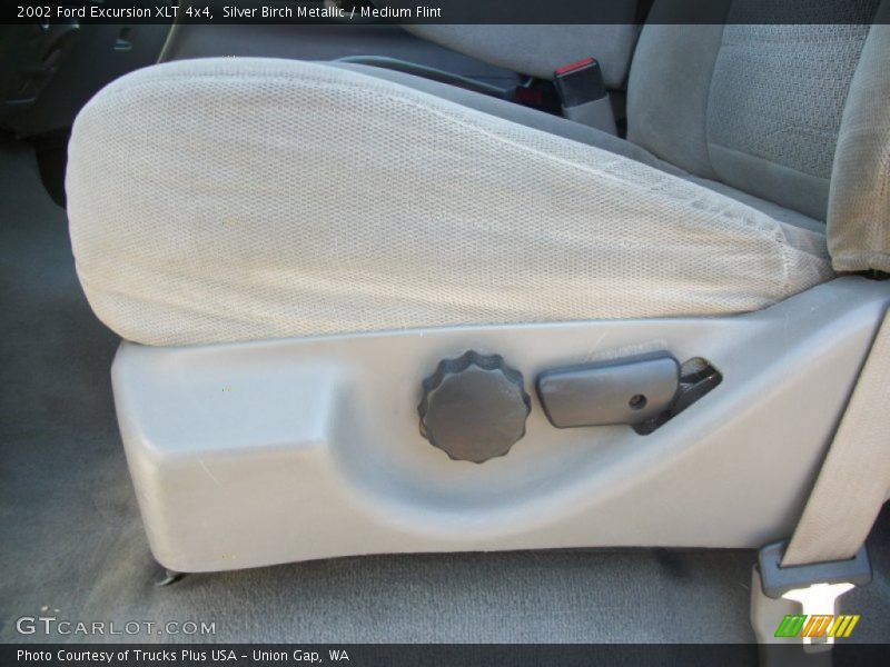 Silver Birch Metallic / Medium Flint 2002 Ford Excursion XLT 4x4