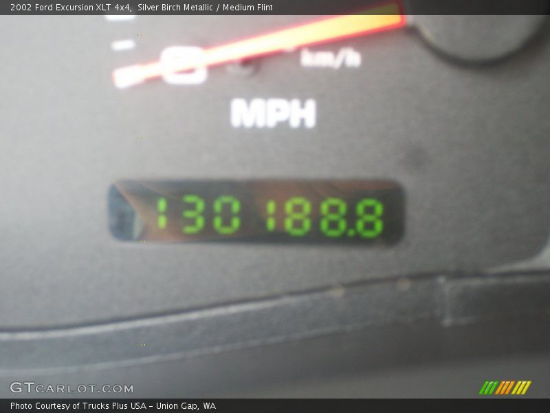 Silver Birch Metallic / Medium Flint 2002 Ford Excursion XLT 4x4