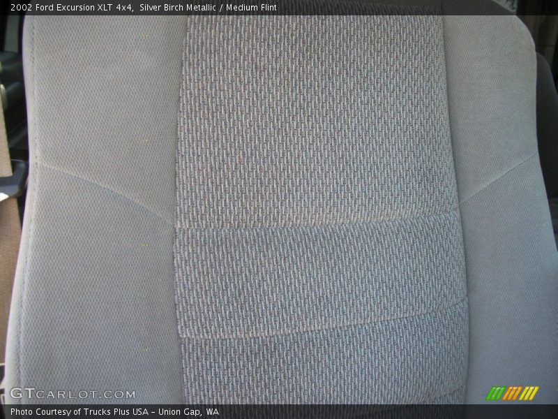 Silver Birch Metallic / Medium Flint 2002 Ford Excursion XLT 4x4