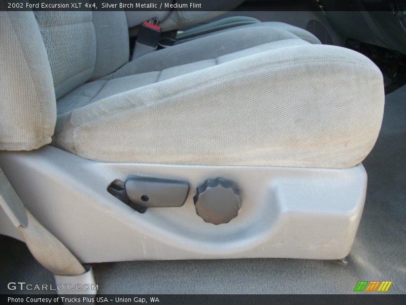 Silver Birch Metallic / Medium Flint 2002 Ford Excursion XLT 4x4