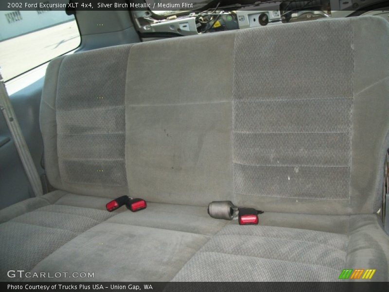 Silver Birch Metallic / Medium Flint 2002 Ford Excursion XLT 4x4
