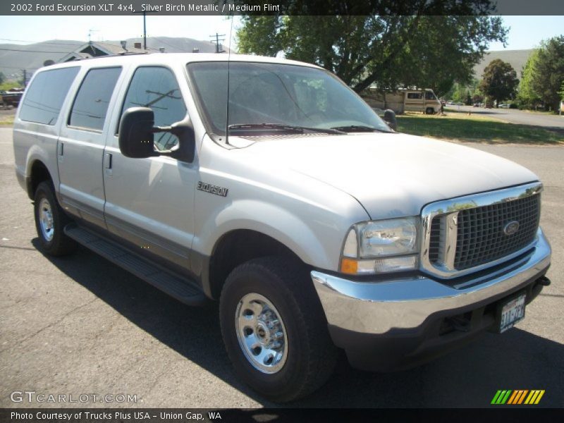 Silver Birch Metallic / Medium Flint 2002 Ford Excursion XLT 4x4