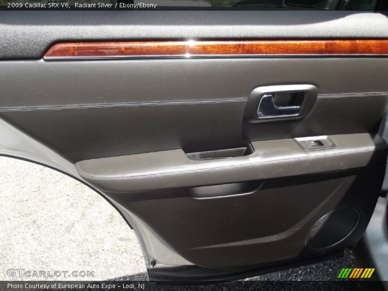 Radiant Silver / Ebony/Ebony 2009 Cadillac SRX V6